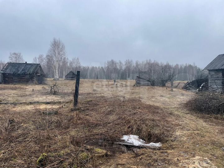 Участок 50,5 сот. (личное подсобное хозяйство (лпх))