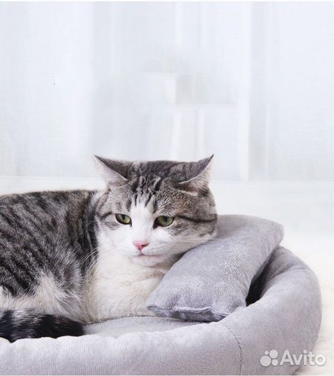 Лежанка для котов