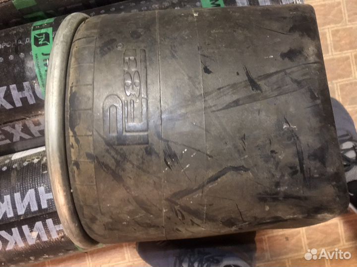 Певморессора