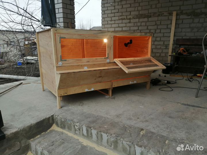 Брудер для цыплят