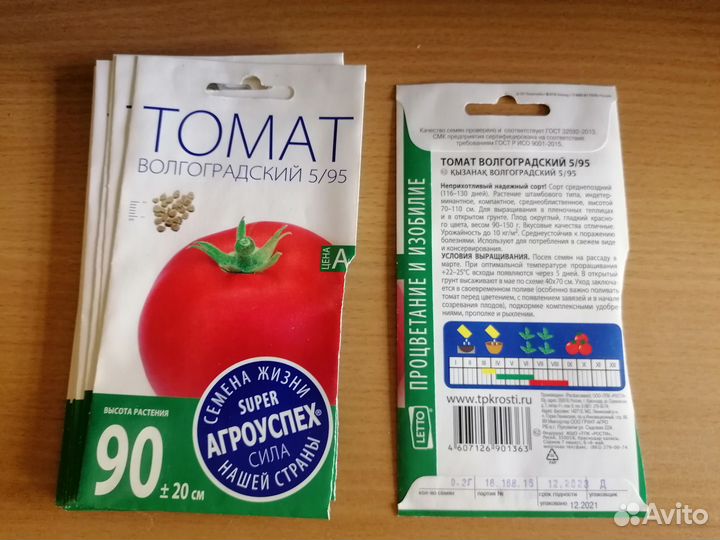 Рассада помидор томатов