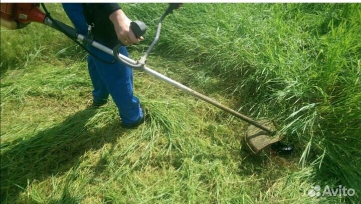 Покос травы,спил деревьев кустарников,уборка з/у