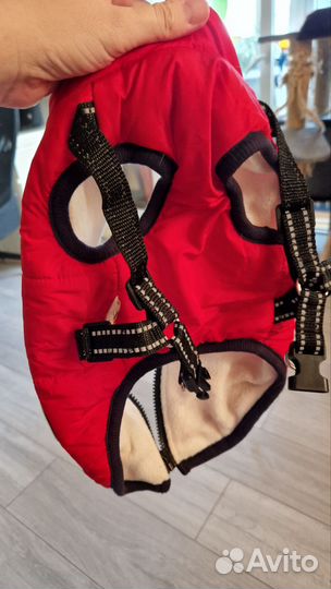 Жилетка для маленьких собак