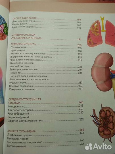 Анатомия и физиология: большой популярный атлас