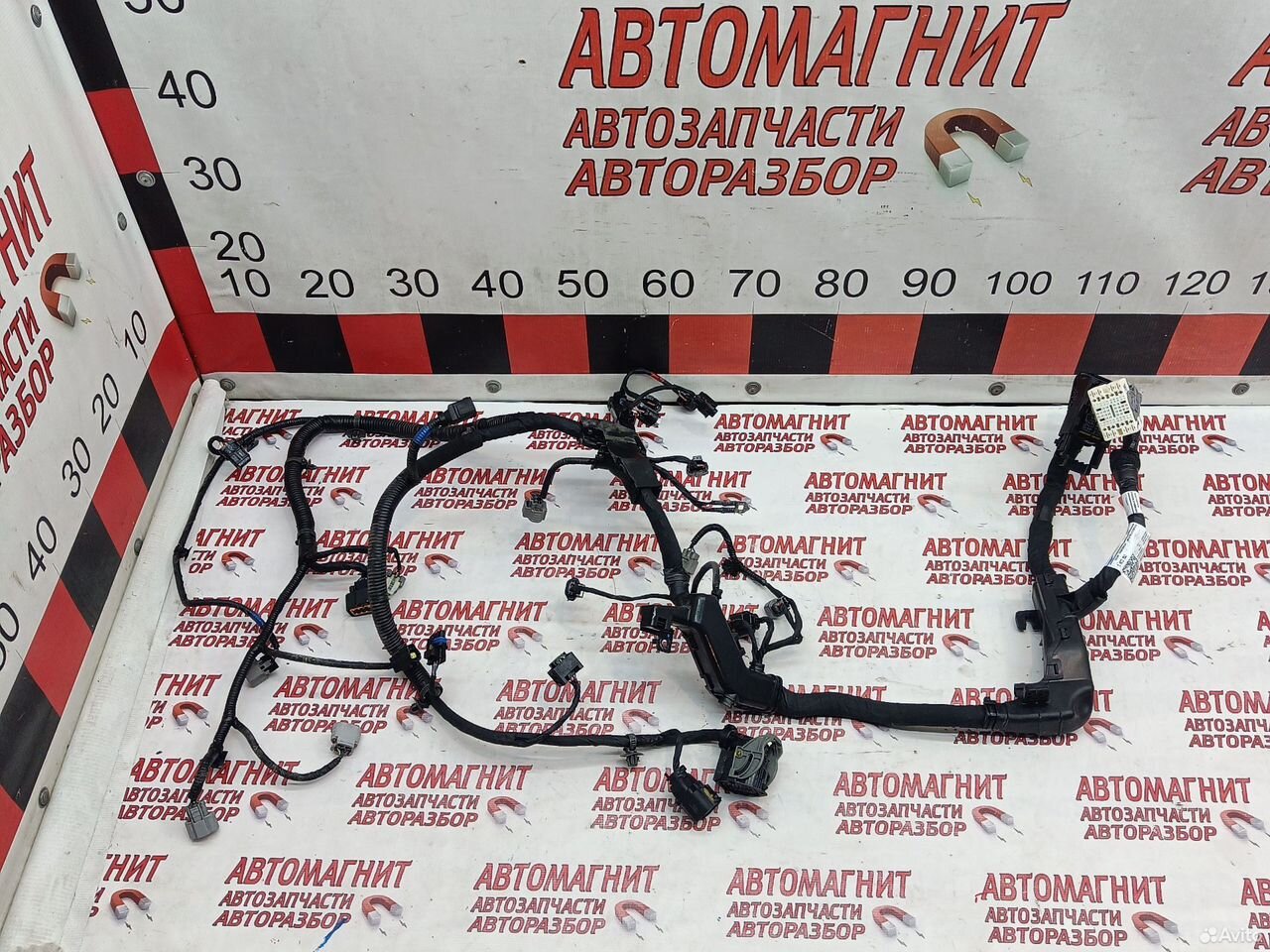 Проводка двигателя двс Хендай Санта Фе 4 TM