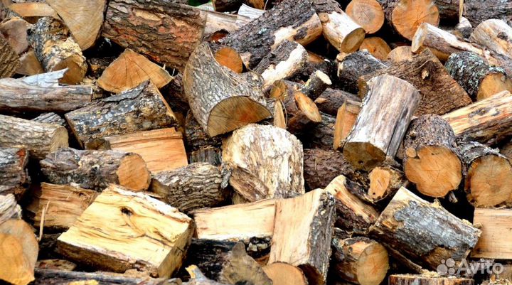 Дрова в область
