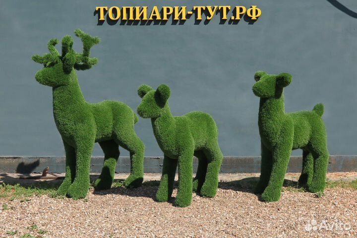 Топиари Топиарные фигуры Садовые фигуры