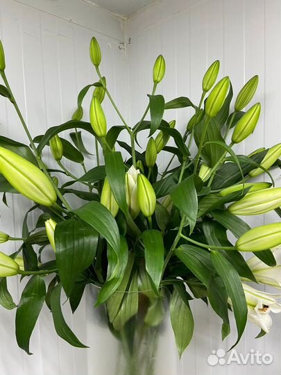 Цветы и букеты 24/7