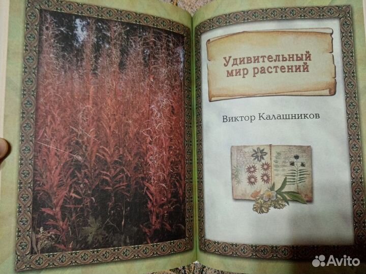 Чудеса живой природы