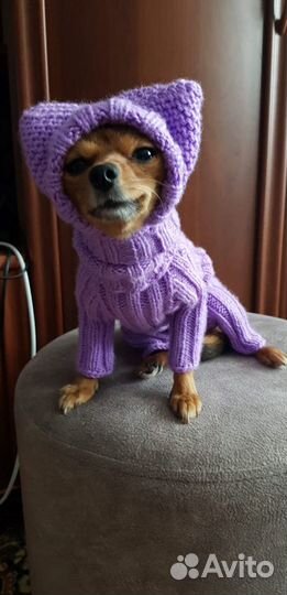 Шапка для собаки / одежда для собак