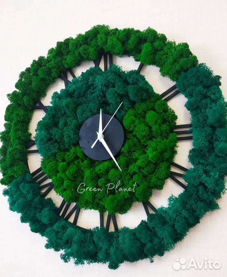 Часы настенные. Мох