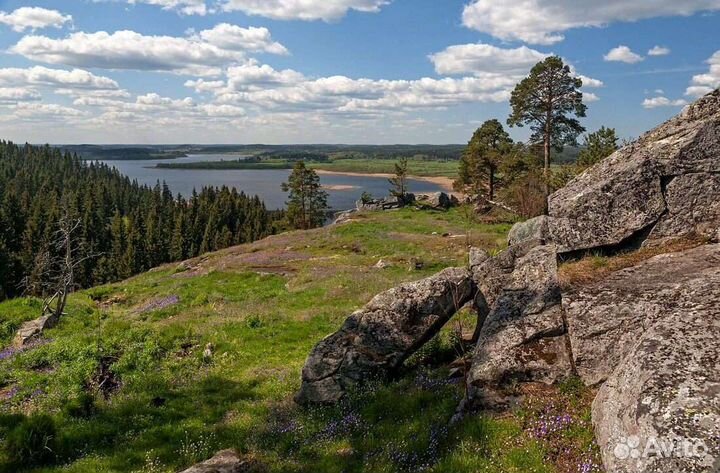 Пассажирские Перевозки, трансфер,такси