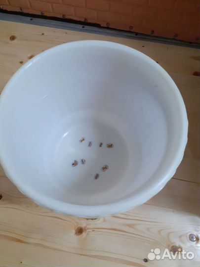 Горшок для цветов большой