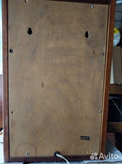 Колонки Радиотехника, пара