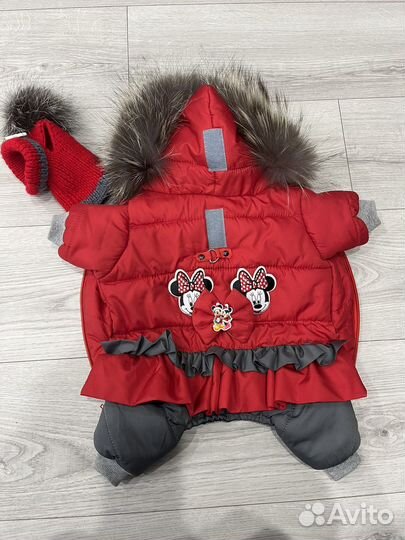 Одежда для собак