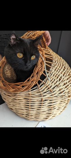 Глафира 1 год