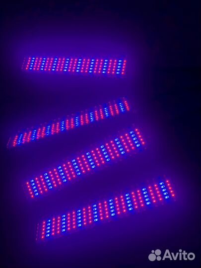 Фитолампа для растений