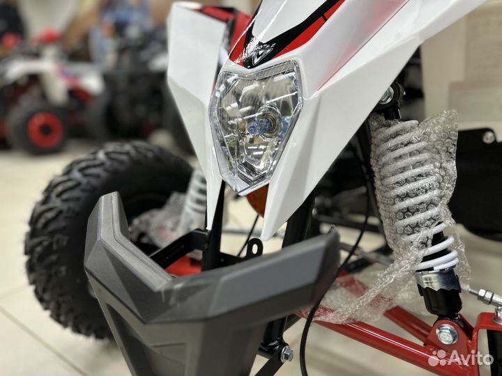 Детский квадроцикл Motax gekkon 1300W