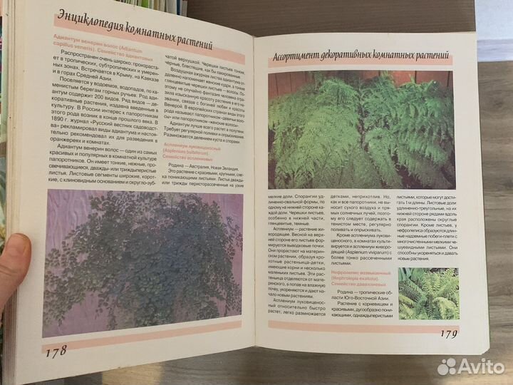 Книга по растениям