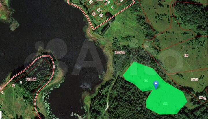 Участок 4,66 га (СНТ, ДНП)