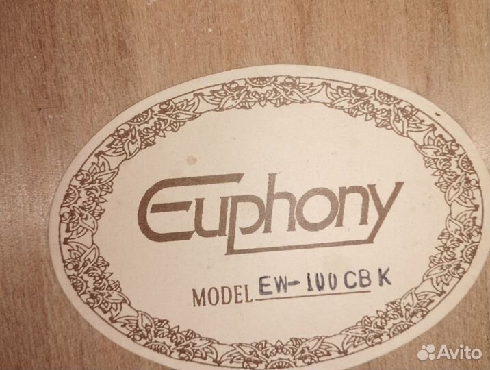 Акустическая гитара Euphony model EW-100 CB K