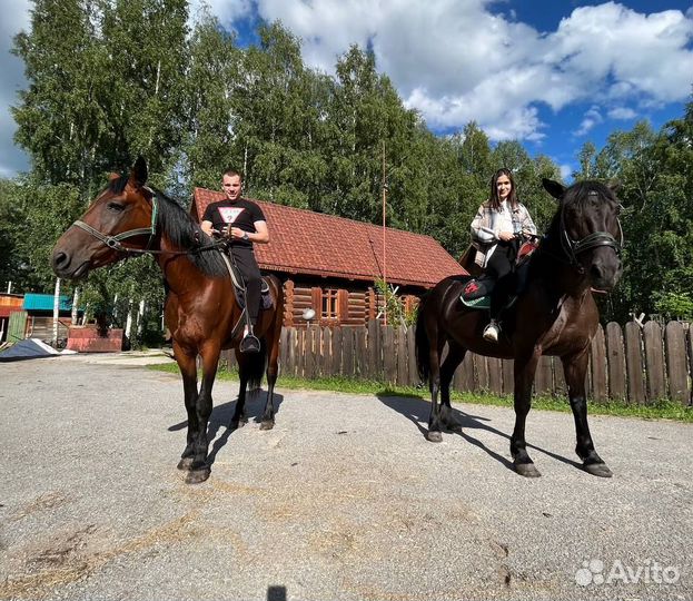 Конные прогулки