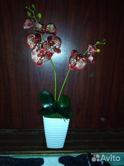 Орхидея фаленопсис, искуственная