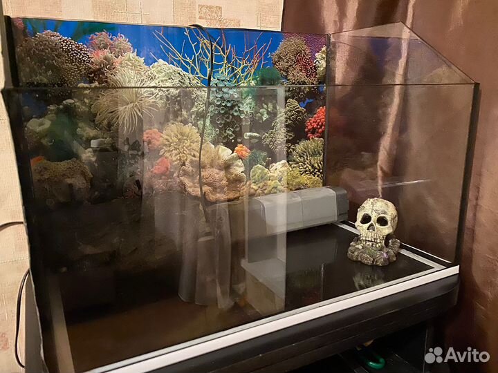 Аквариум (Террариум)