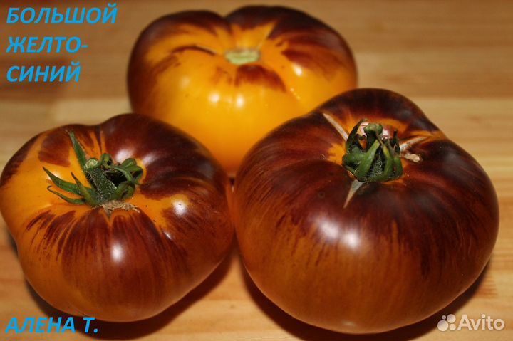 Семена редких видов томатов, отправка почтой