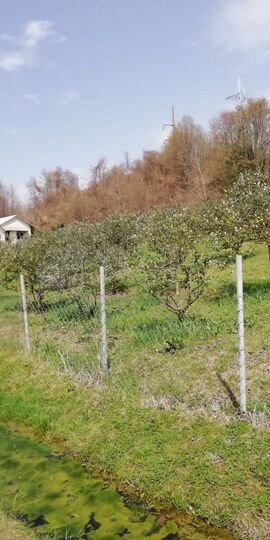 Участок 5 сот. (ИЖС)