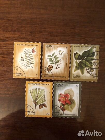 Почтовые марки Куба Растения, цветы 1975 год серия