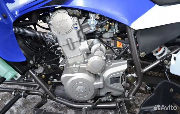 Квадроцикл Motoland ATV 250 S синий