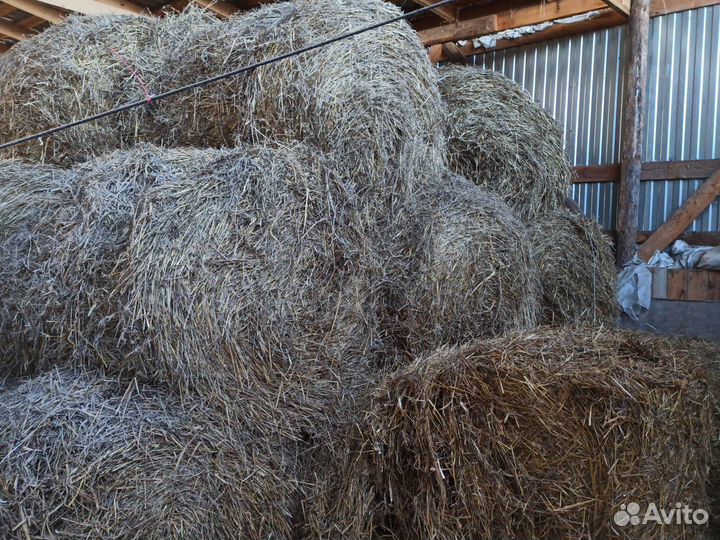 Сено,солома в рулонах