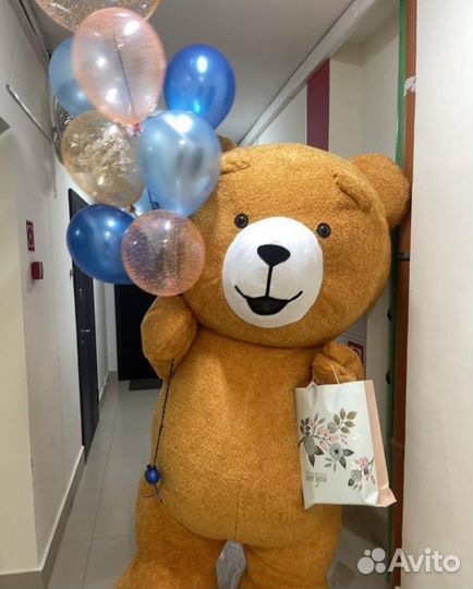 Ростовой медведь