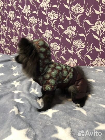 Пуховик для собак мелких пород