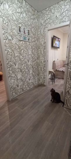 1-к. квартира, 38 м², 5/10 эт.