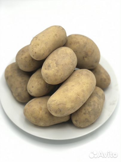 Картофель лук