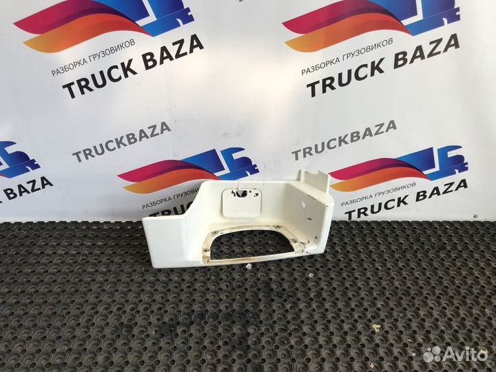 81615100644 Корпус подножки правой