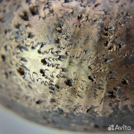 Набор Аммонитов окаменелость ископаемое