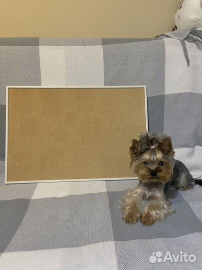 Пробковая доска IKEA