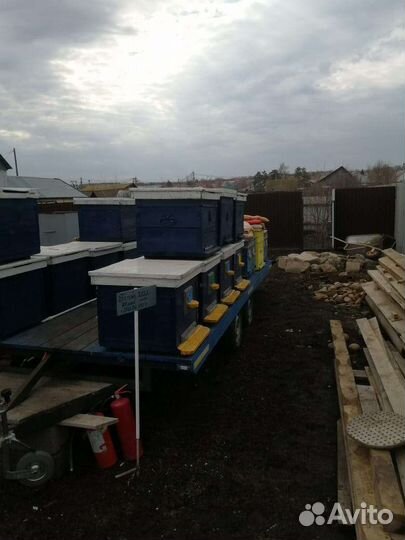Прицеп для перевозки пчел и пасека