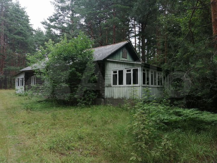 Пионерский лагерь Чайка и турбаза, 3200 м²