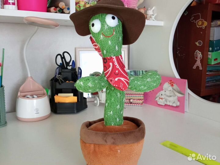 Буги - вуги кактус