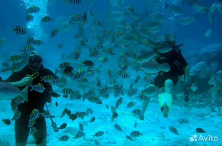 Турпутевка Пхукет 9 н. завтраки