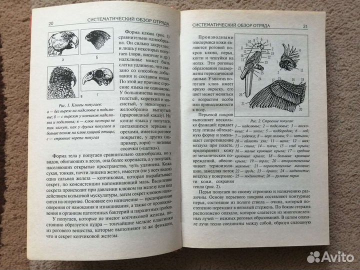 Попугаи: справочник по уходу и содержанию книга