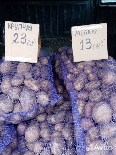 Продукты питания