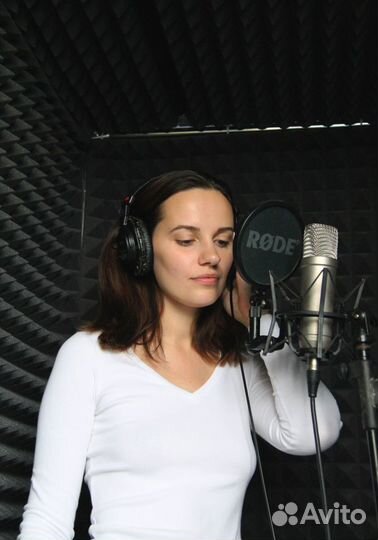 Студия звукозаписи (запись, аранжировки, сведение)