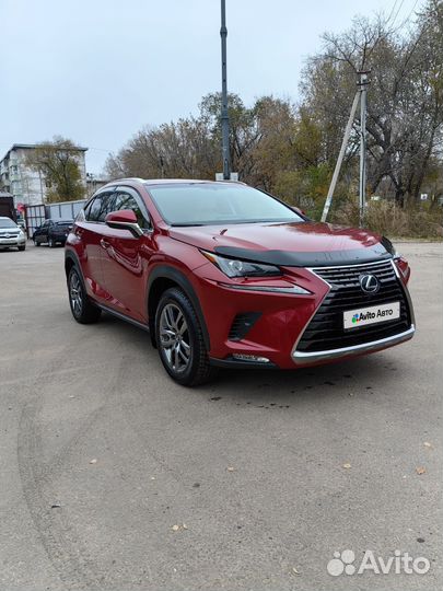 Lexus NX 2.0 AT, 2019, 35 400 км