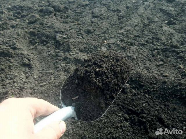 Чернозём Плодородный грунт Торф с доставкой