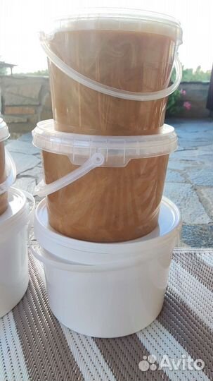 Горный дикий Алтайский мед